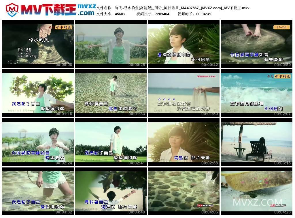 许飞-寻水的鱼(高清版)_国语_流行歌曲_MA407867